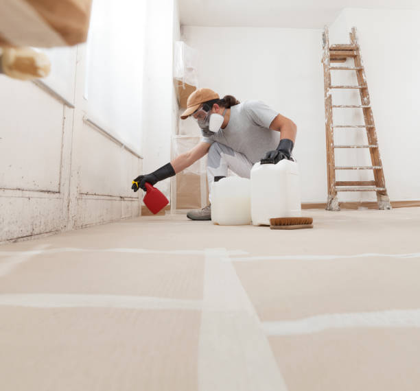 Best Environmental Consulting for Mold Prevention  in Aumsville, OR
