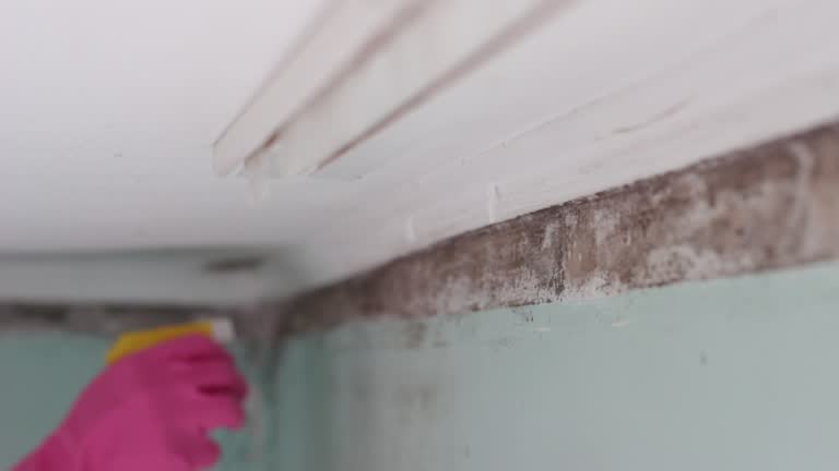 Best HVAC Mold Inspection and Cleaning  in Aumsville, OR
